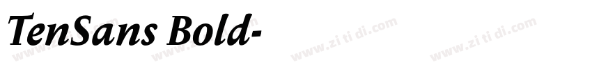TenSans Bold字体转换